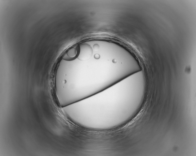 X0000100471405200806130744