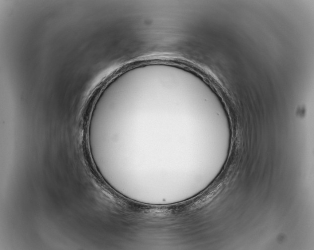 X0000100471406200806130744