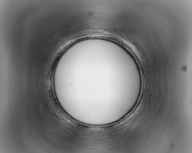 X0000100471407200806130744