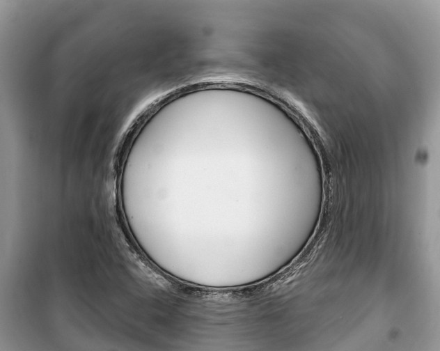 X0000100471408200806130744