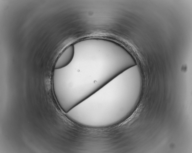 X0000100471409200806130744