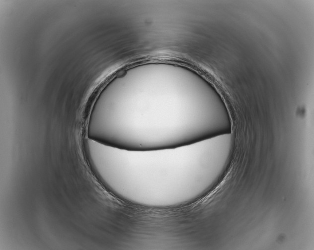 X0000100471410200806130744