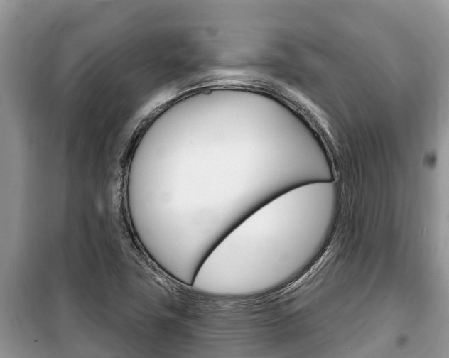X0000100471411200806130744