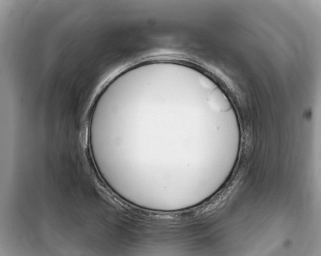 X0000100471413200806130744