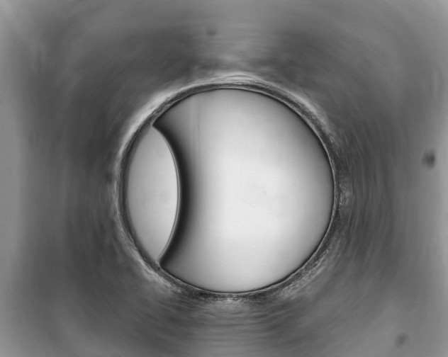 X0000100471414200806130744