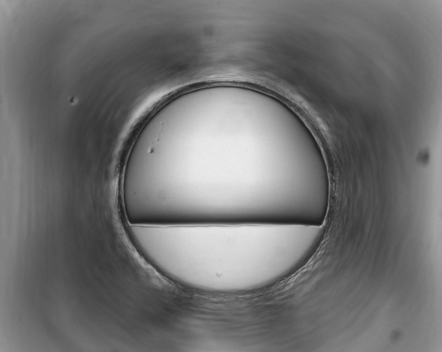 X0000100471416200806130744