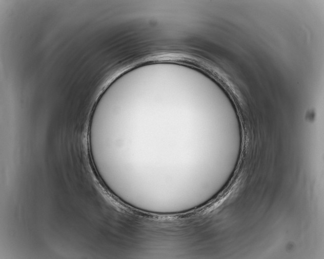 X0000100471417200806130744