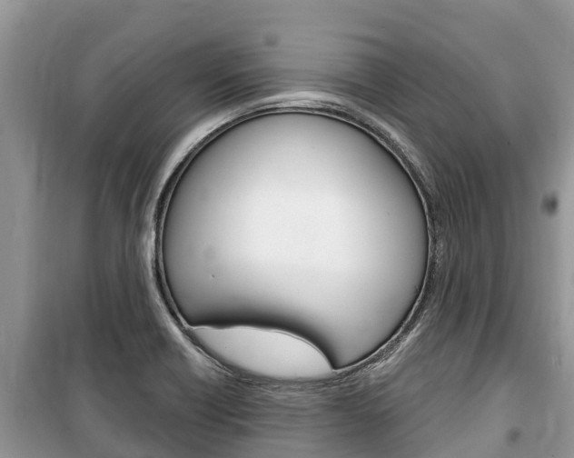 X0000100471418200806130744
