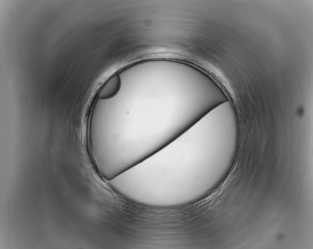 X0000100471419200806130744