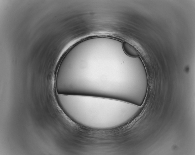 X0000100471420200806130744