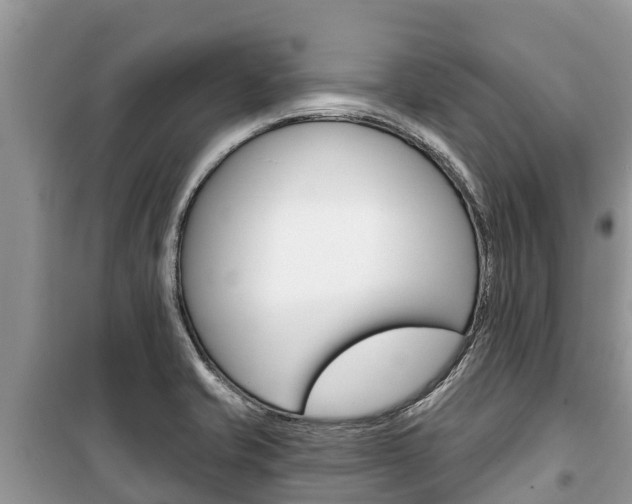 X0000100471421200806130744