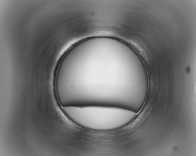 X0000100471422200806130744