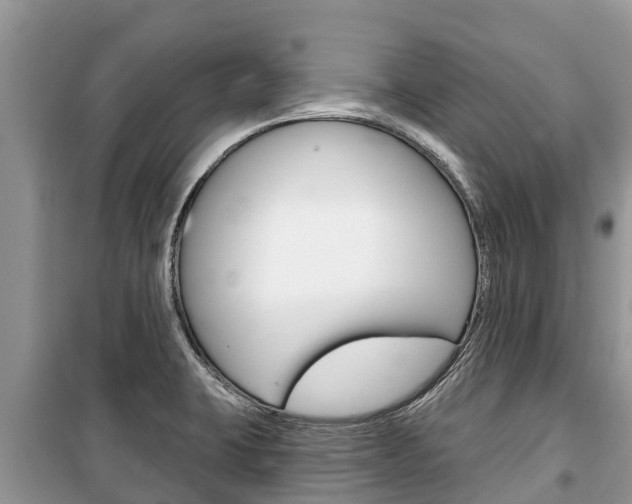X0000100471423200806130744