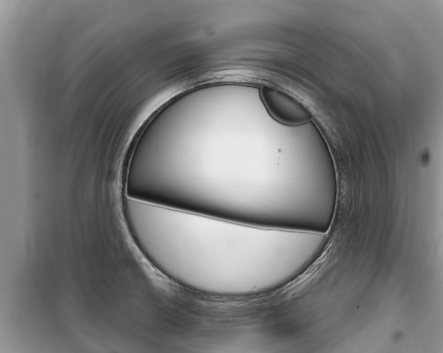 X0000100471426200806130744
