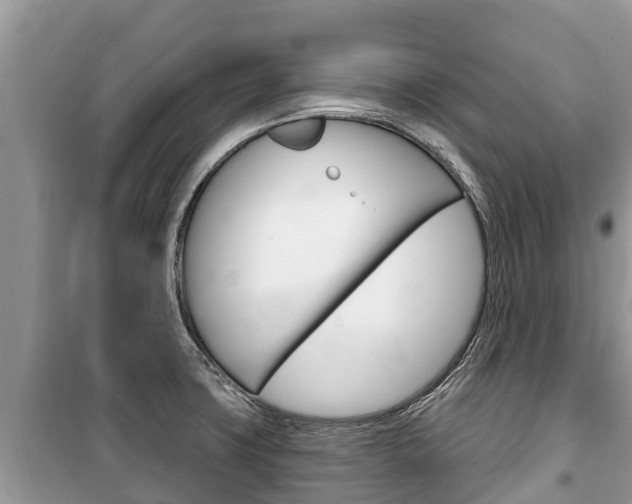 X0000100471427200806130744