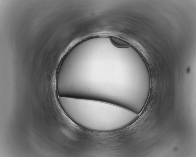 X0000100471428200806130744