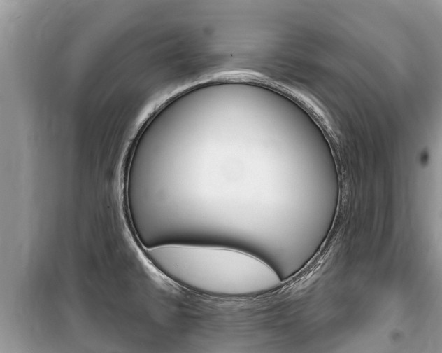 X0000100471430200806130744