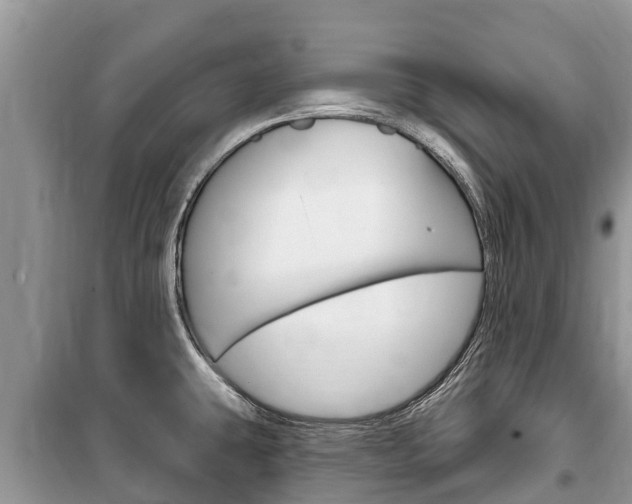 X0000100471431200806130745