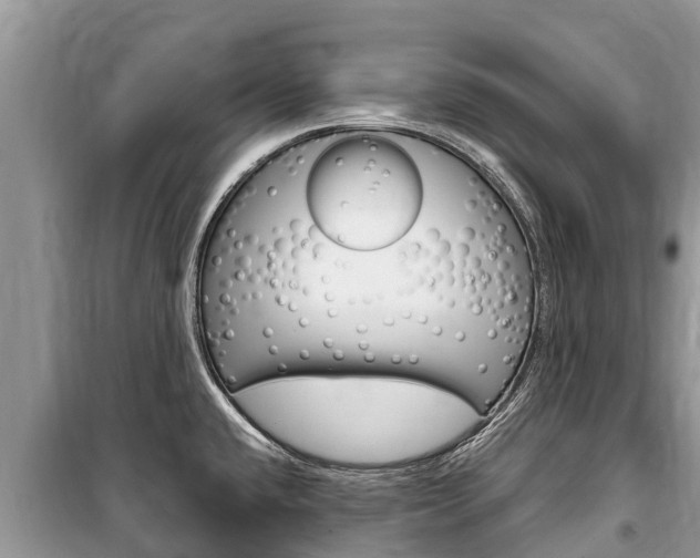 X0000100471432200806130745