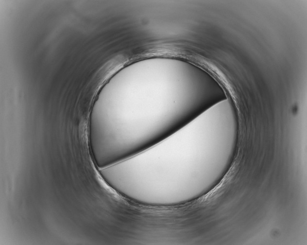 X0000100471433200806130745