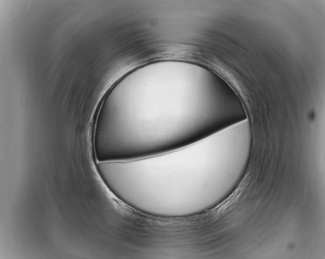 X0000100471434200806130745