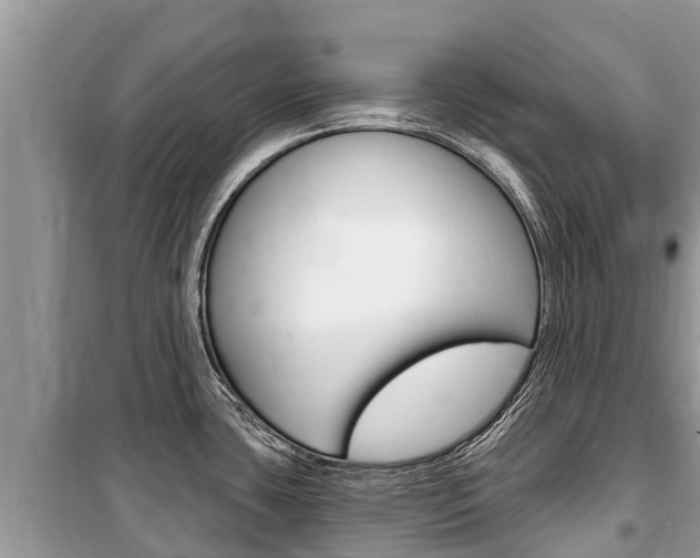 X0000100471435200806130745