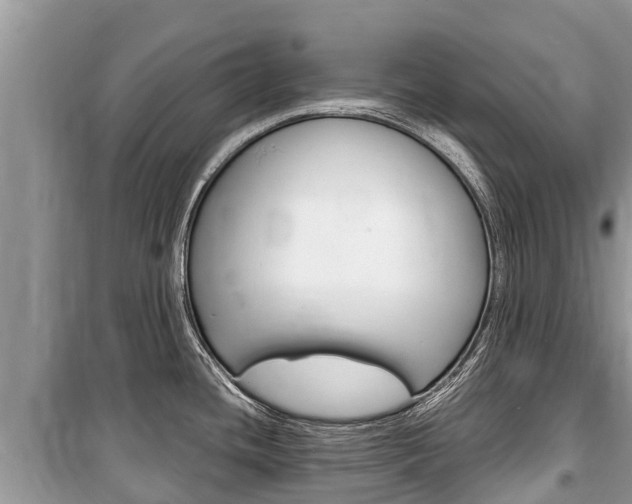 X0000100471436200806130745