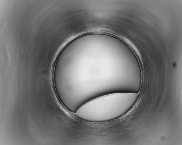 X0000100471437200806130745
