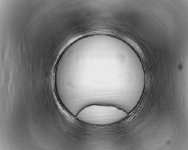 X0000100471439200806130745