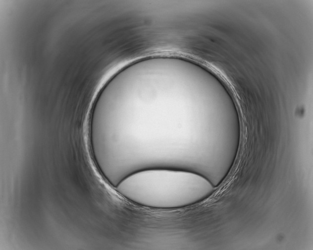 X0000100471440200806130745