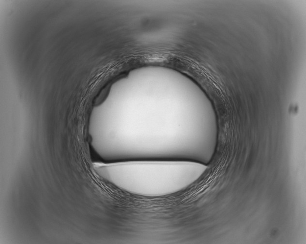 X0000100471441200806130744