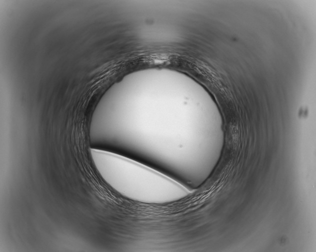 X0000100471442200806130744
