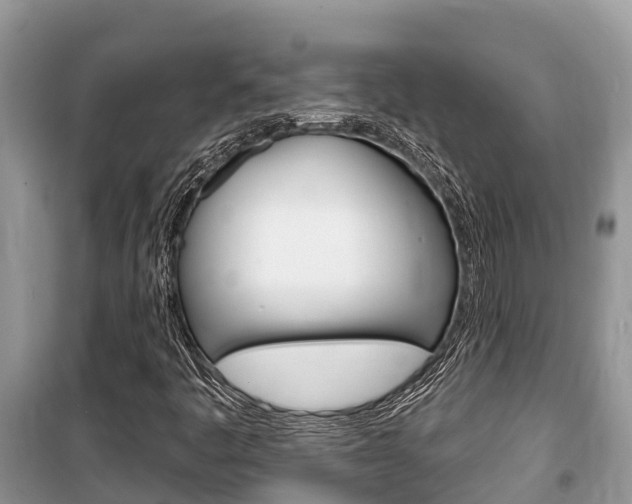 X0000100471445200806130744