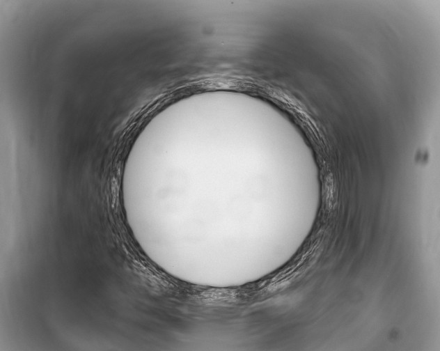 X0000100471446200806130744