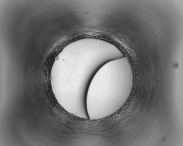 X0000100471447200806130744