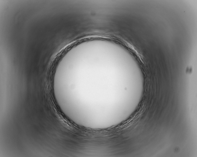 X0000100471448200806130744