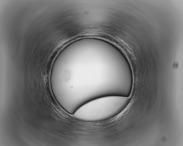 X0000100471449200806130744