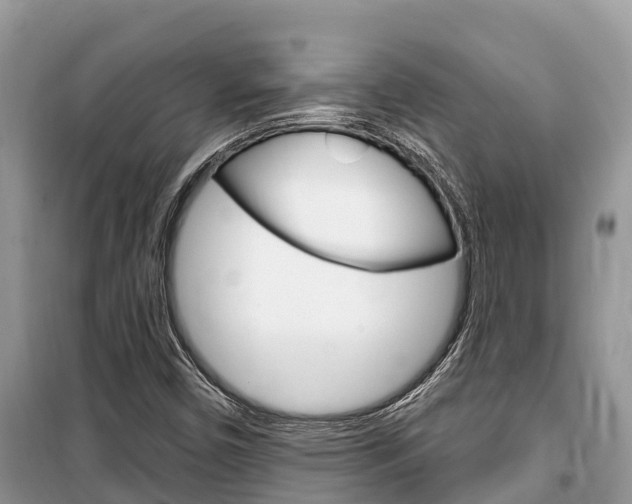X0000100471450200806130744