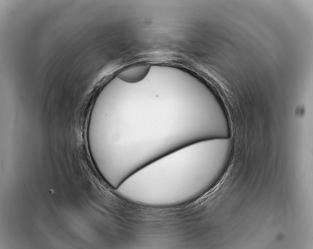 X0000100471451200806130744