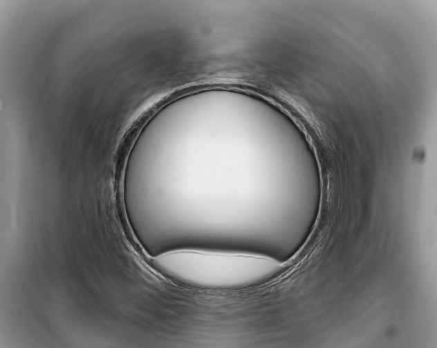X0000100471452200806130744