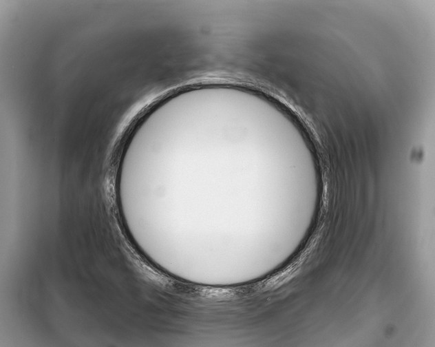 X0000100471454200806130744