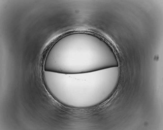 X0000100471456200806130744
