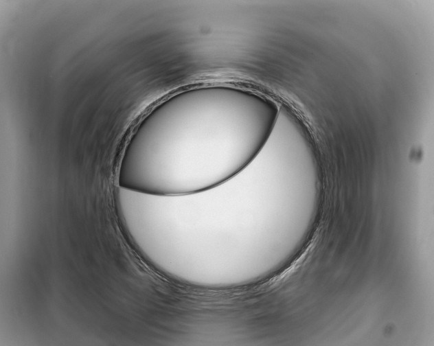 X0000100471457200806130744