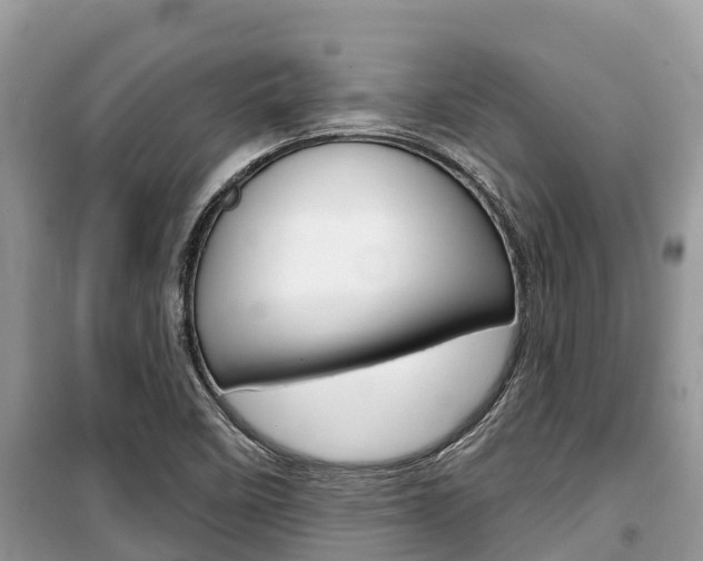 X0000100471458200806130744