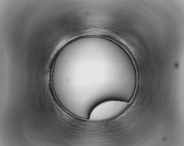 X0000100471459200806130744
