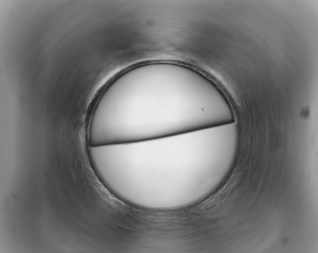 X0000100471460200806130744