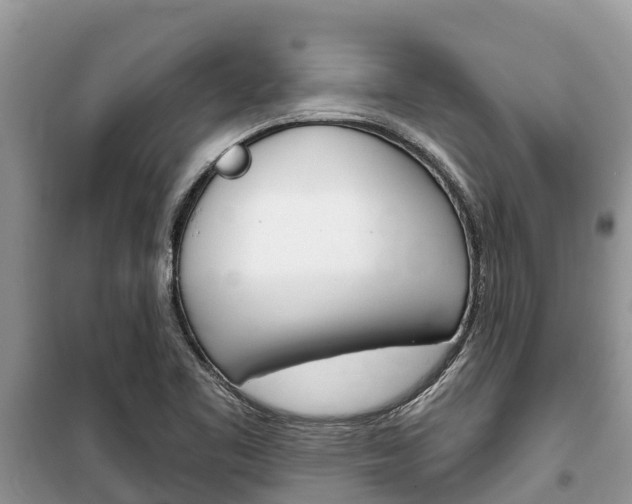 X0000100471461200806130744