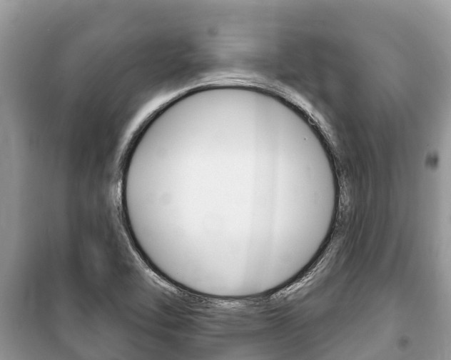 X0000100471462200806130744