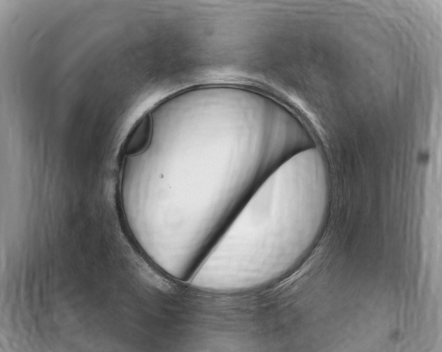 X0000100471463200806130744