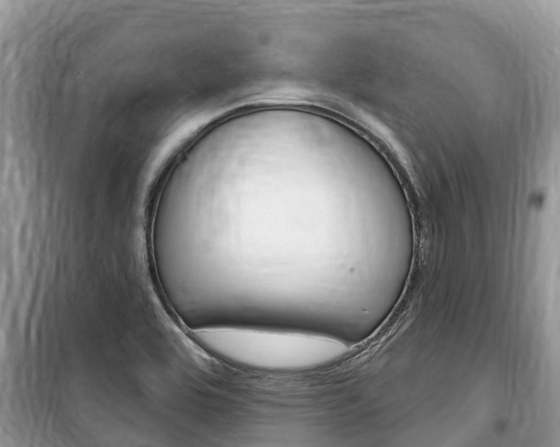 X0000100471464200806130744